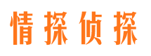 田阳出轨调查